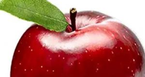 जुब्बल कोटखाई विधानसभा में चेतन ब्रागटा को चुनाव चिन्ह मिला सेब चेतन ब्रागटा के समर्थक गदगद