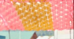 प्रोफेसर अनिल डोगरा को मैदान में उतरने से बड़सर में भाजपा की बढ़ सकती दिककतें