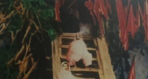 बाबा बालक नाथ मंदिर की गुफा तक लकड़ी की पौड़ी से आधुनिक रास्ते के निर्माण तक का सफर